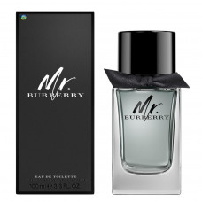 Туалетна вода чоловіча Burberry Mr. Burberry 100 мл Euro