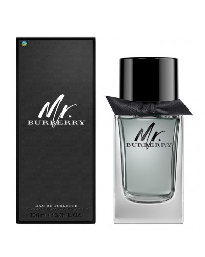 Туалетна вода чоловіча Burberry Mr. Burberry 100 мл Euro