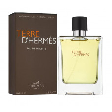 Туалетная вода мужская Hermes Terre d`Hermes 100 мл Original Quality